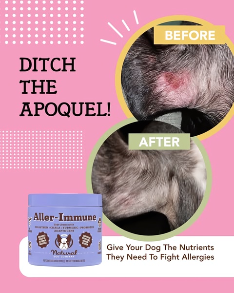 This ad creative uses a high-contrast before-and-after comparison to showcase the efficacy of a dog allergy relief supplement in a 4:5 social media format.